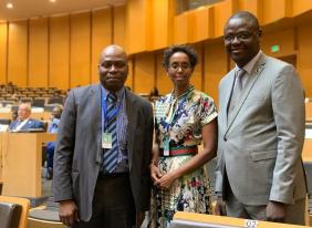 African Union Member States Adopted Unified Position on the Recovery of Illicit Assets