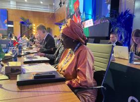 Chairperson attending the G20 working group - Brazil