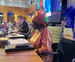 Chairperson attending the G20 working group - Brazil