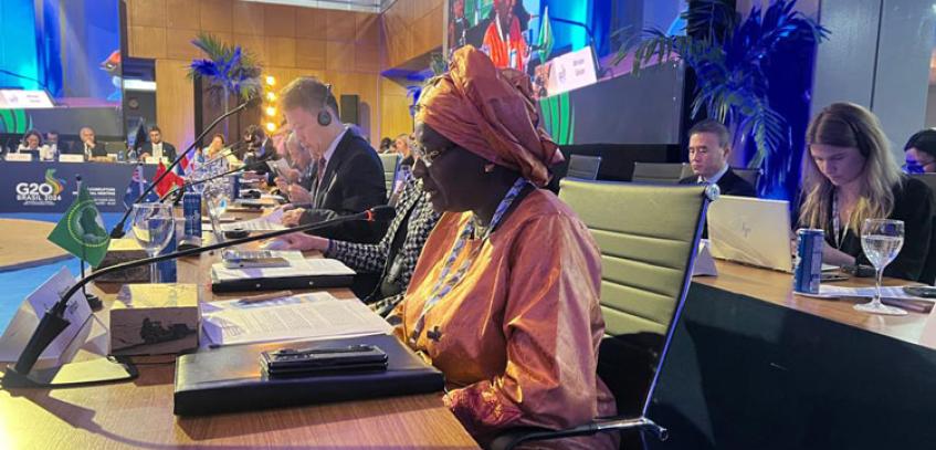 Chairperson attending the G20 working group - Brazil